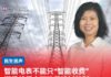 智能电表不能只“智能收费” 郑爱鸰促全面改革追讨机制