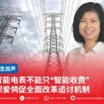 智能电表不能只“智能收费” 郑爱鸰促全面改革追讨机制