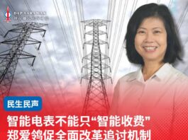 智能电表不能只“智能收费” 郑爱鸰促全面改革追讨机制