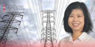 智能电表不能只“智能收费” 郑爱鸰促全面改革追讨机制